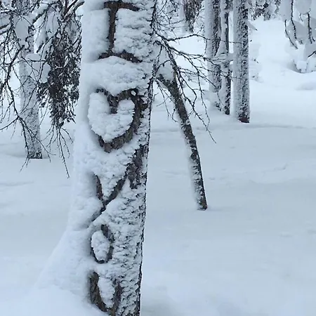 Karhunkehto Шале