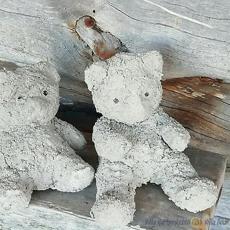 Karhunkehto Alpstuga *