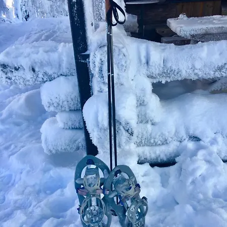 Karhunkehto