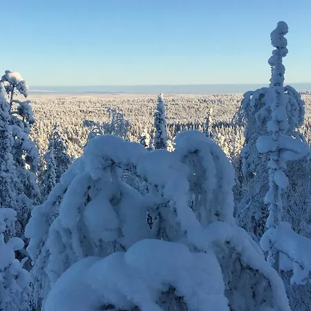 Karhunkehto * Luosto