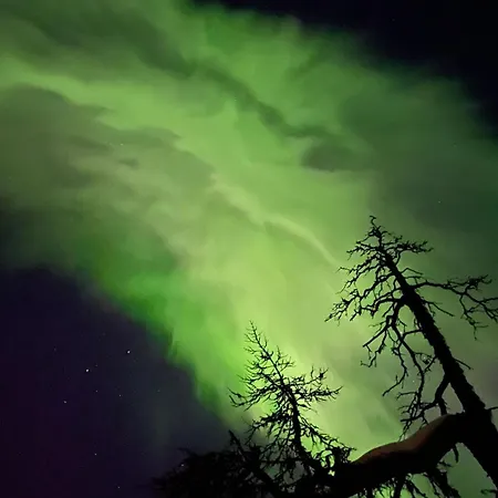 Karhunkehto * Luosto