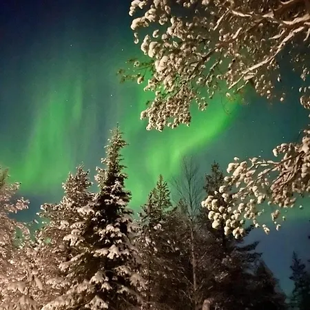 Domek alpejski Karhunkehto *