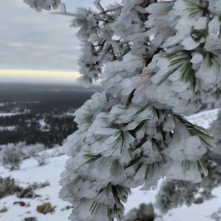 Alpstuga Karhunkehto