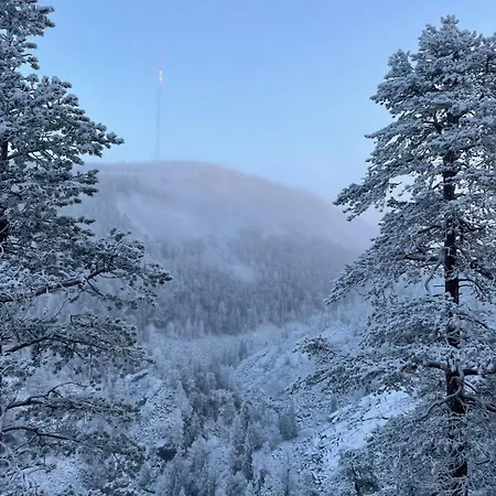 Karhunkehto Domek alpejski