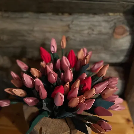 Karhunkehto * Luosto