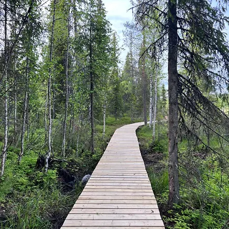 Chalet Karhunkehto