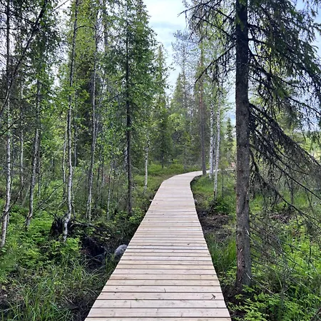 Domek alpejski Karhunkehto